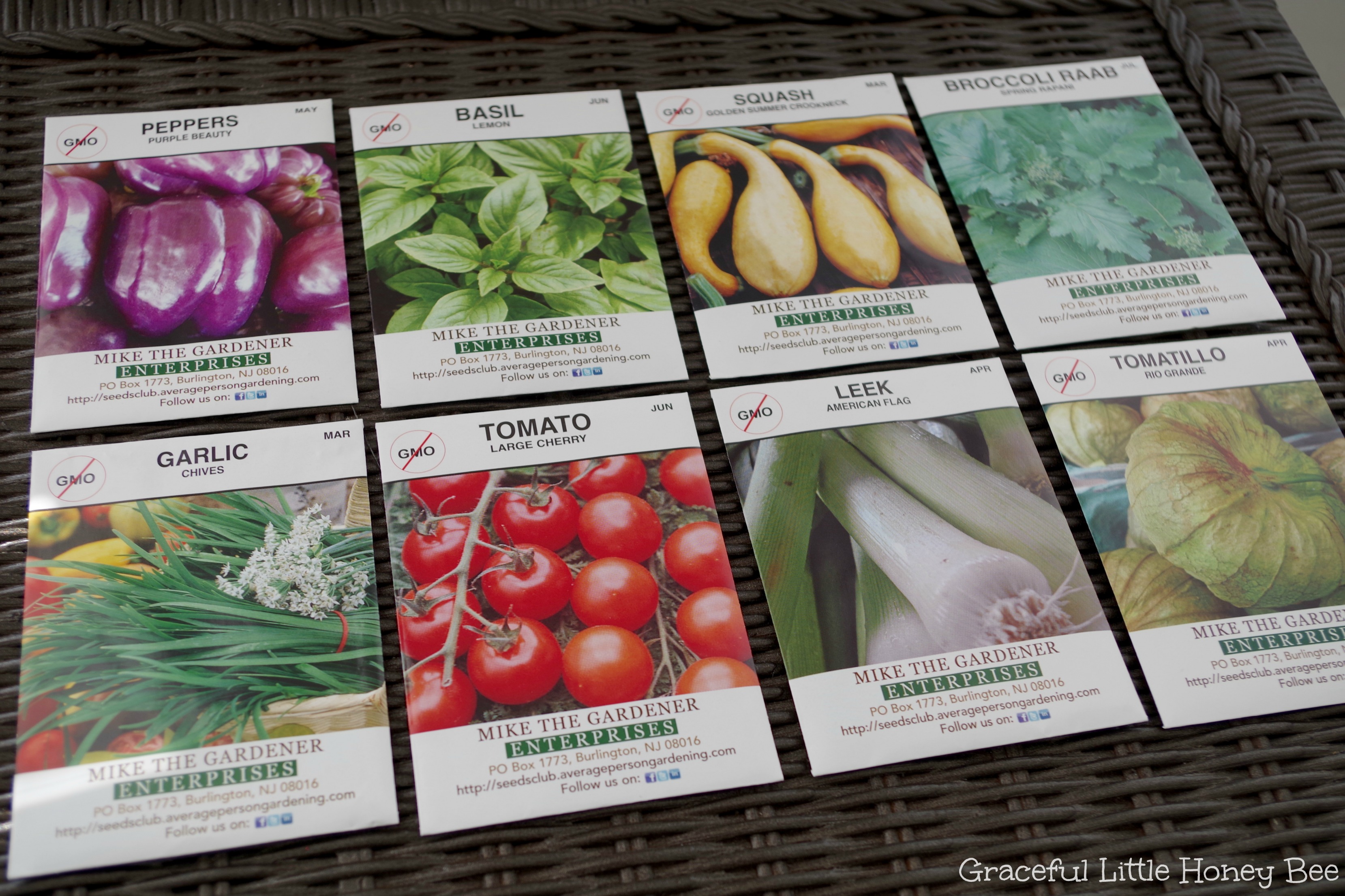 Seeds of the Month Club Review Graceful Little Honey Bee