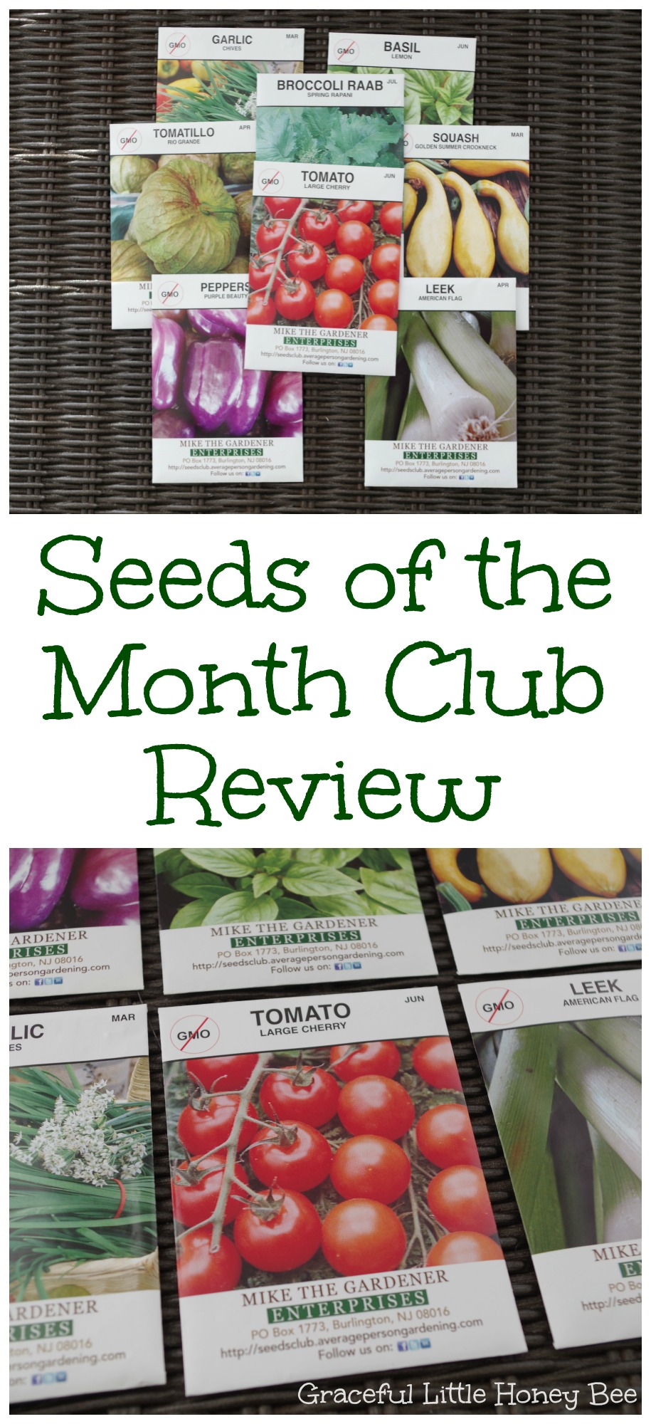 Seeds of the Month Club Review Graceful Little Honey Bee