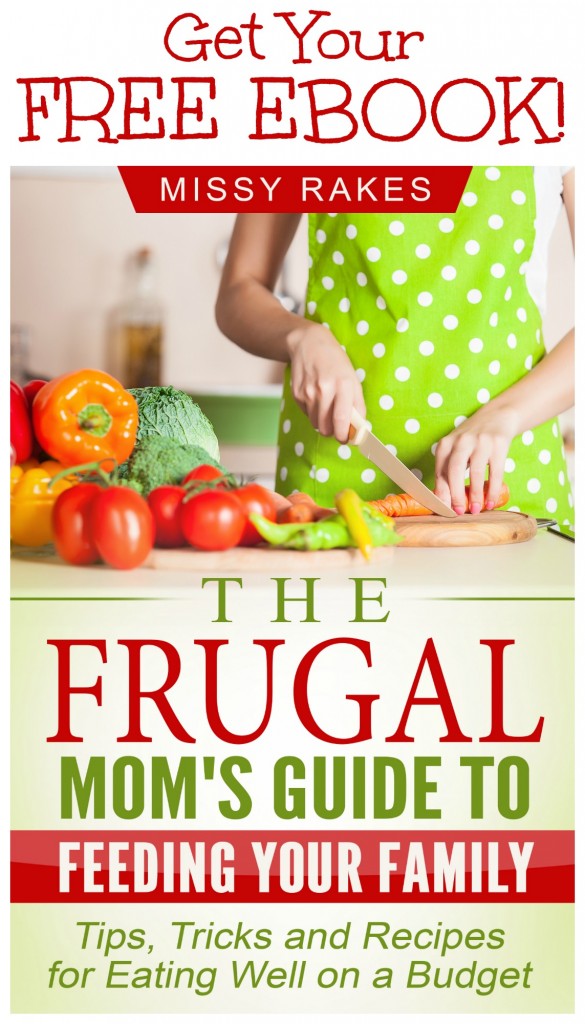 Get your FREE EBOOK, "The Frugal Mom's Guide to Feeding Your Family" when you subscribe to weekly updates on gracefullittlehoneybee.com. This guide is filled with tips, tricks and recipes to help you feed your family healthy meals on a budget!