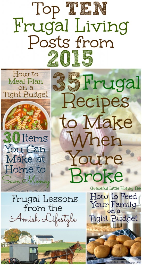 See the Top Ten Frugal Living Posts from 2015 on gracefullittlehoneybee.com