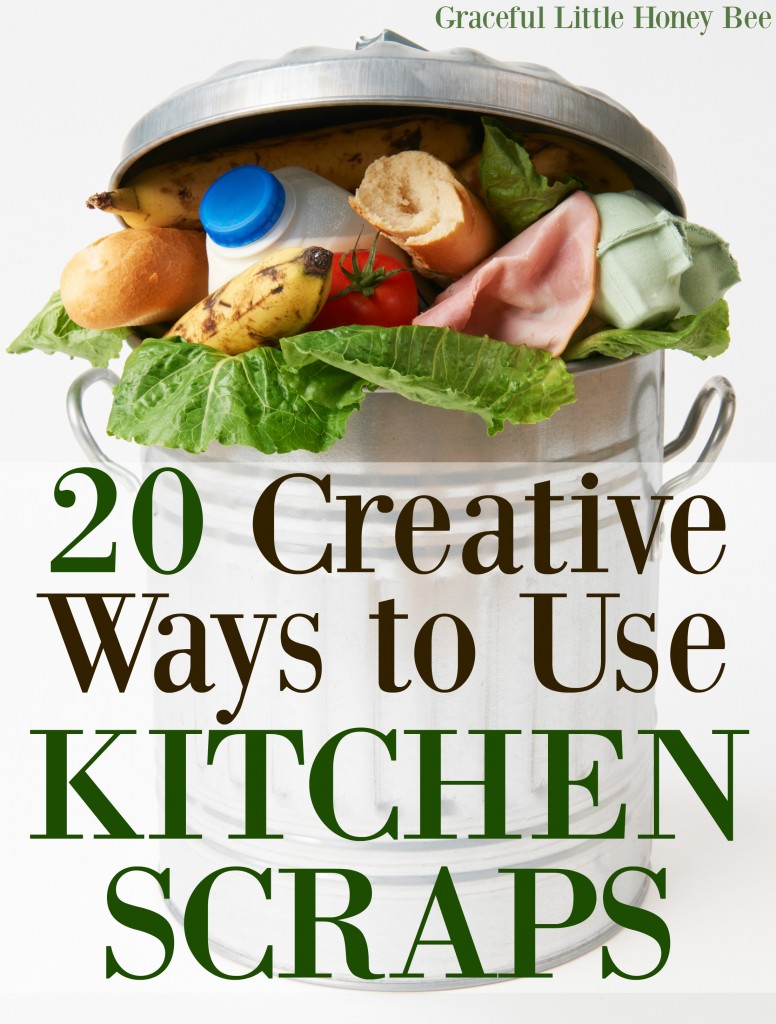 See this list of 20 Creative Ways to Use Kitchen Scraps and learn how to reduce food waste and save money. Ideas include candied orange peel and apple scrap jelly!