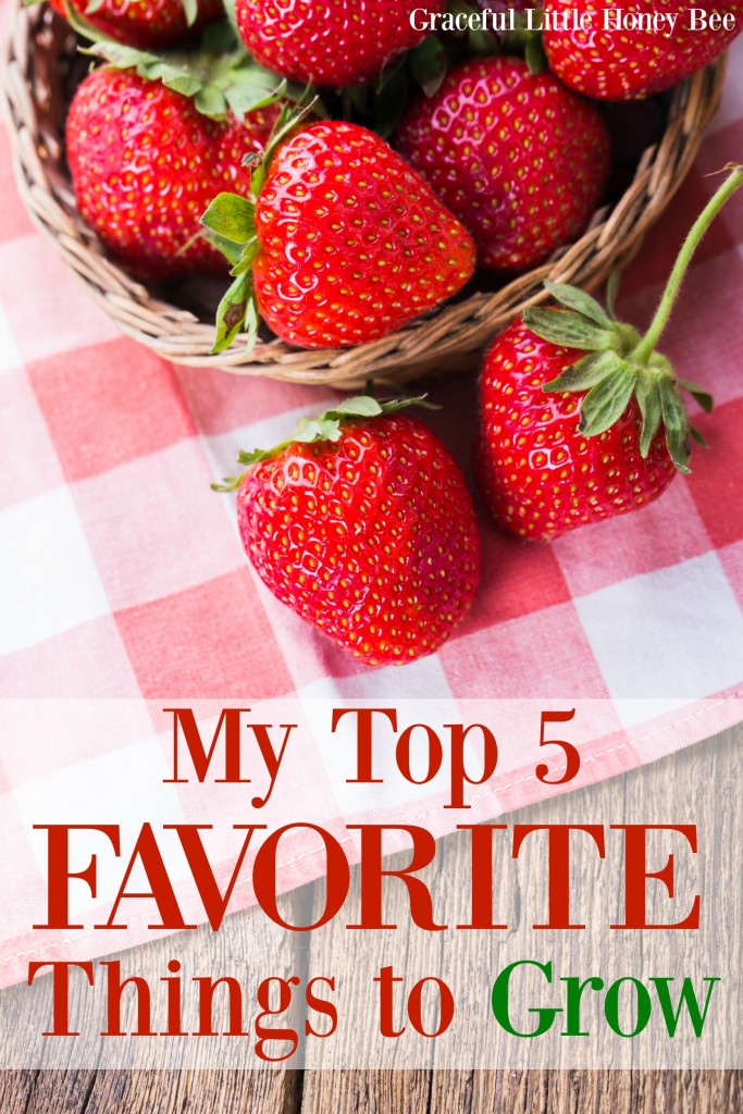 Find out which things I love to grow the most including sweet potatoes and strawberries.