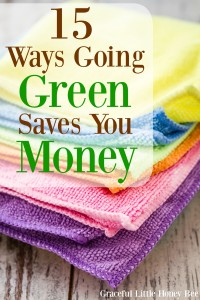 15 Ways Going Green Saves You Money 2