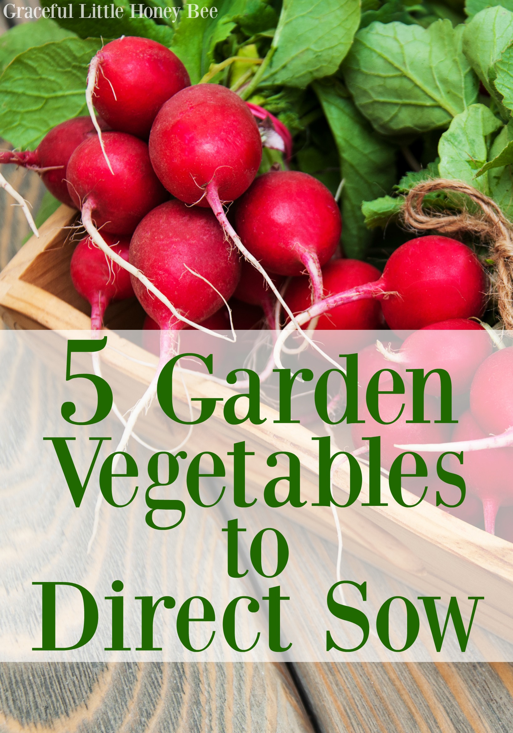 See this list of 5 easy crops that can be directly sown in the garden on gracefullittlehoneybee.com