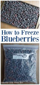 See how quick and easy it is to freeze blueberries for smoothies and muffins all year long on gracefullittlehoneybee.com