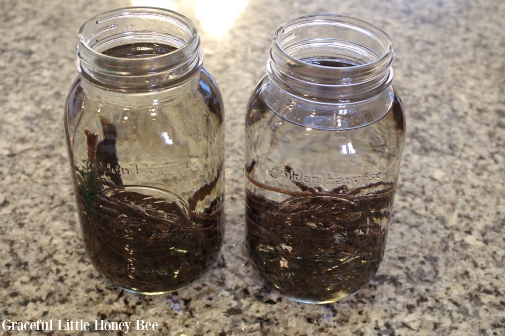 homemade-vanilla-extract-3