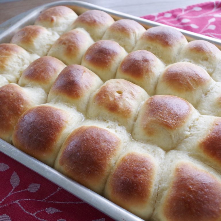 Homemade Dinner Rolls