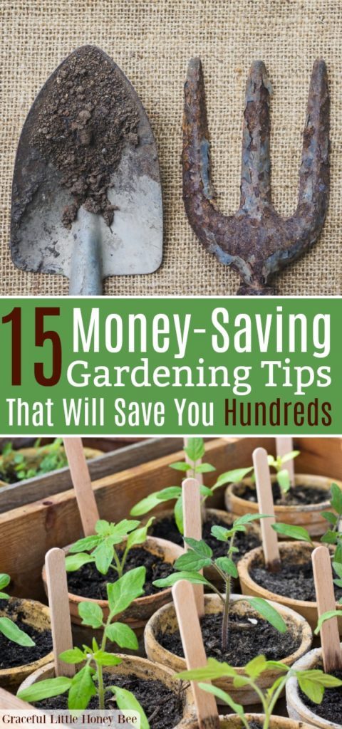 Gardening tools and small tomato plants in biodegradable pots.