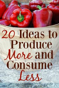 Check out this list of Ideas to Produce More and Consume Less on gracefullittlehoneybee.com