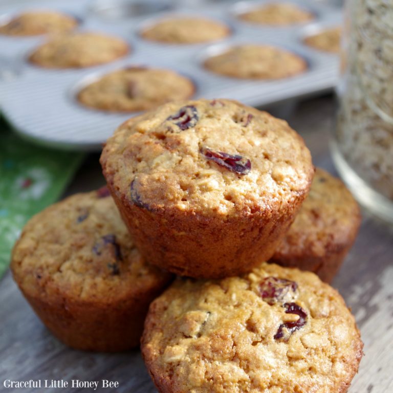 Oatmeal Cranberry Muffins