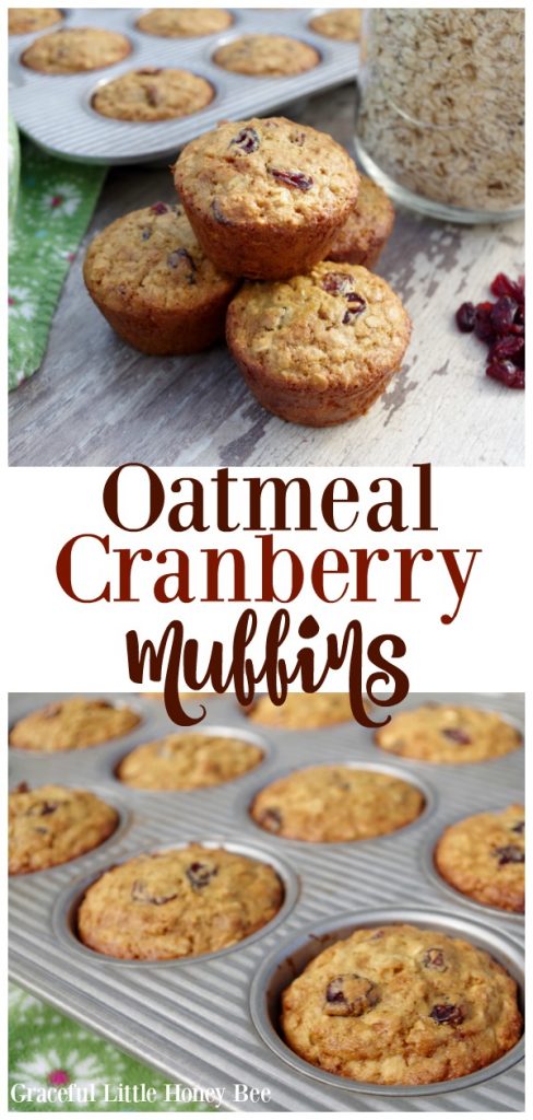 Want a quick and healthy breakfast? Try these super easy and delicous Oatmeal Cranberry Muffins that your family is sure to love on gracefulittlehoneybee.com #breakfast #muffin #muffins #healthy #cranberry #oatmeal