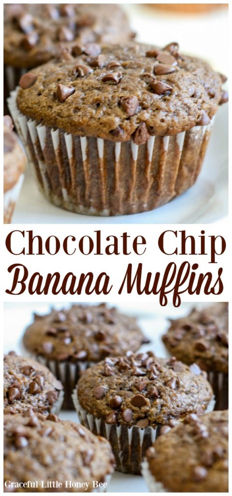 Try these super quick and easy chocolate chip banana muffins for a fun homemade snack or homemade breakfast on gracefullittlehoneybee.com