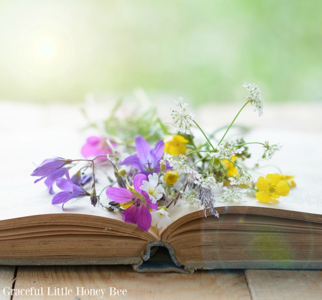 Flowers over an open book.