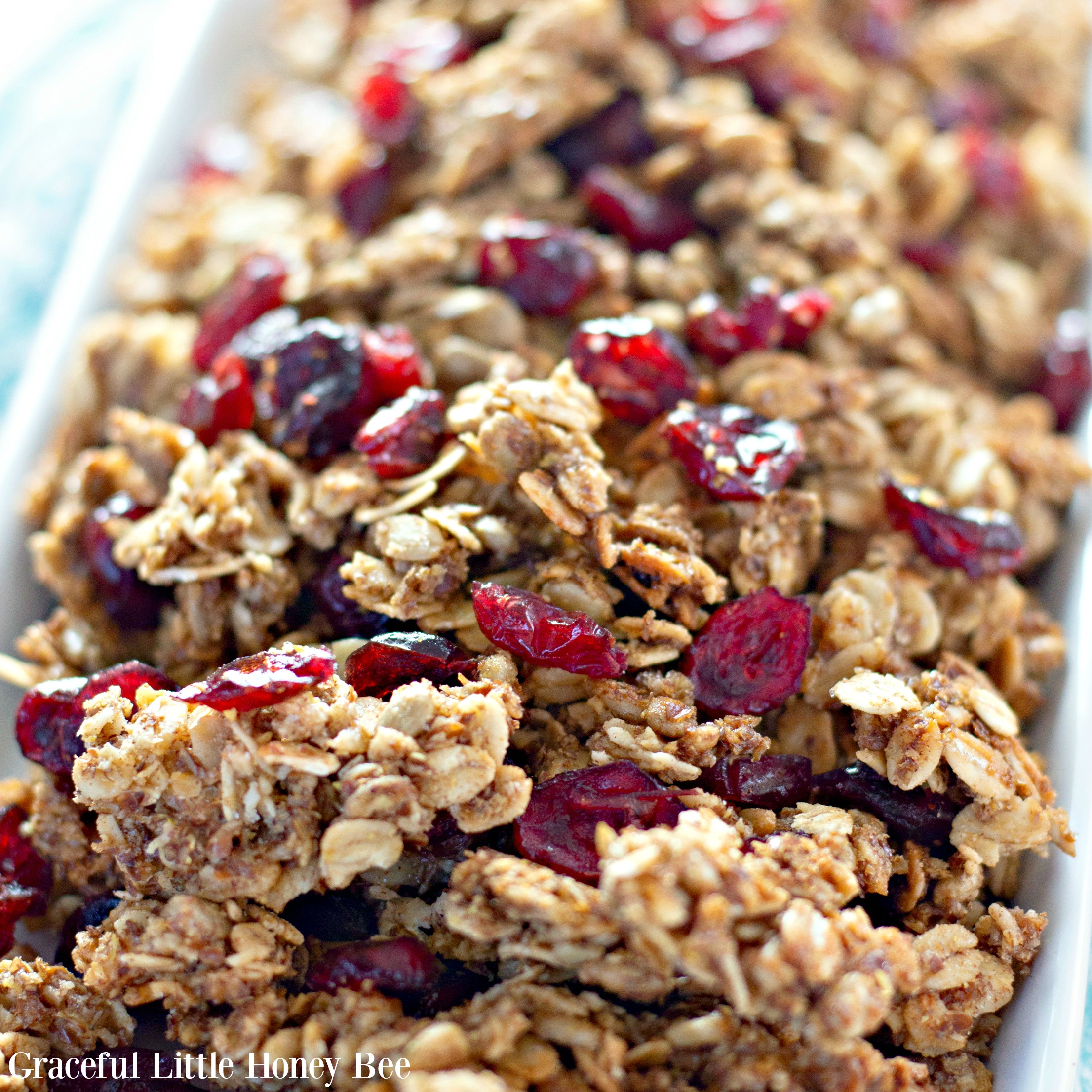 Homemade Cranberry Granola in a white dish.