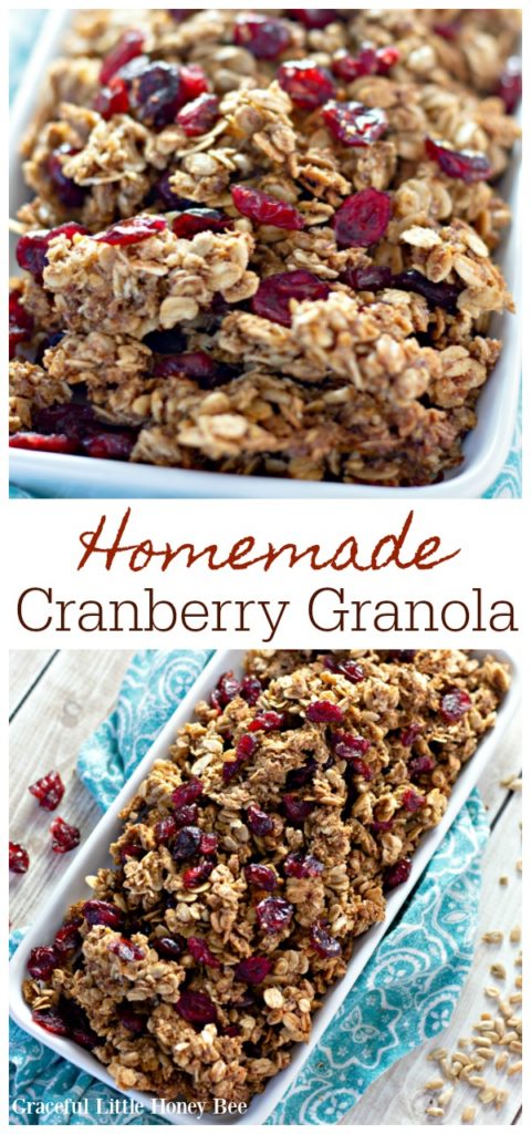 Homemade Cranberry Granola in a white bowl with a blue tea towel under it. 