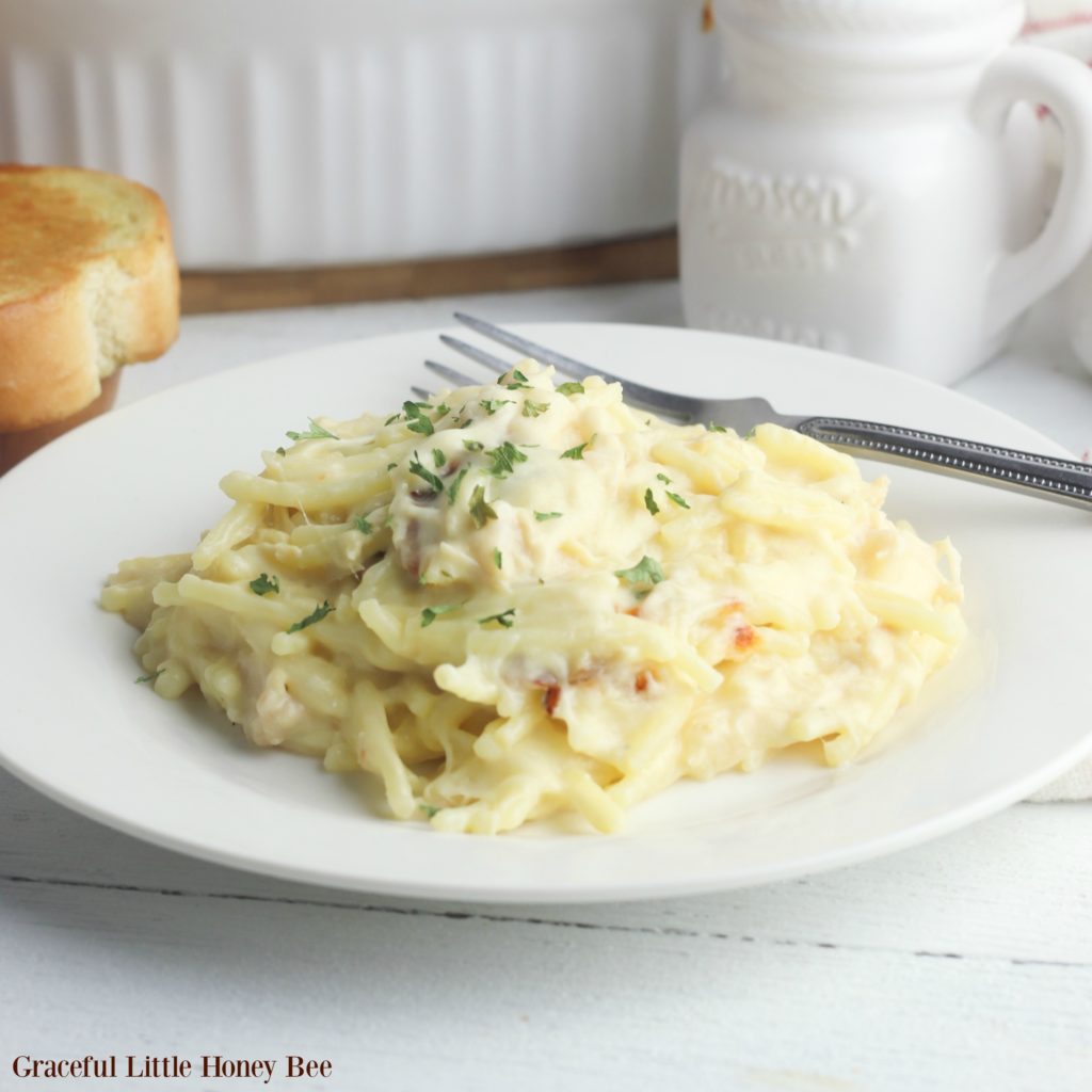 Finished Chicken Tetrazzini on a white plate.