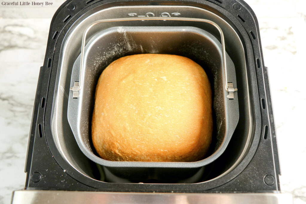 A fresh loaf of white bread sitting in the bread machine.