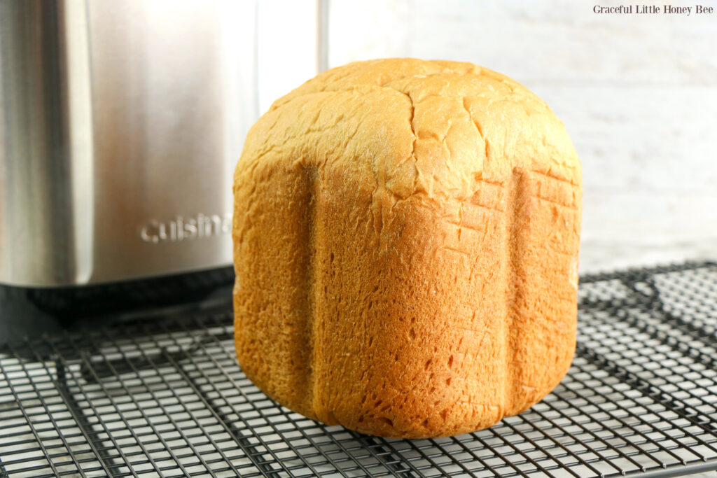 A fresh loaf of bread machine white bread sitting on a cooling rack.