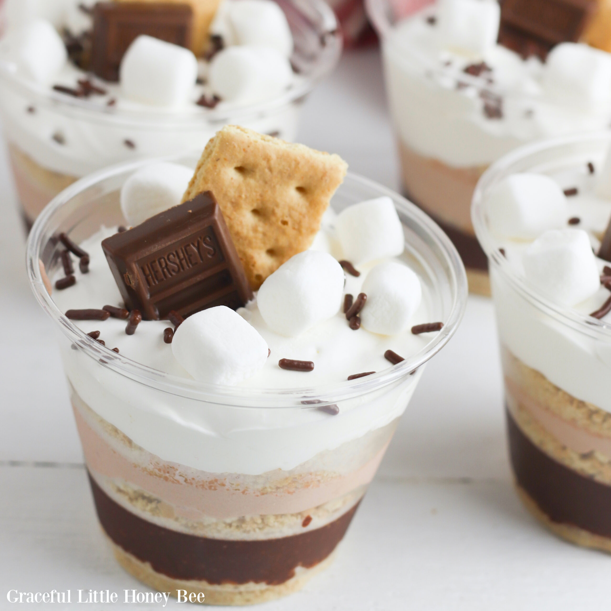 A s'mores pudding parfait topped with mini marshmallows, chocolate sprinkles, graham cracker and Hershy's chocolate.