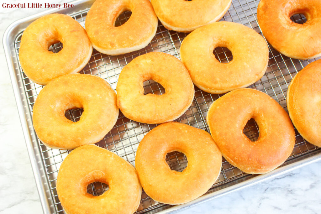 Warm fried donuts sitting on a cooling rack before being glazed.