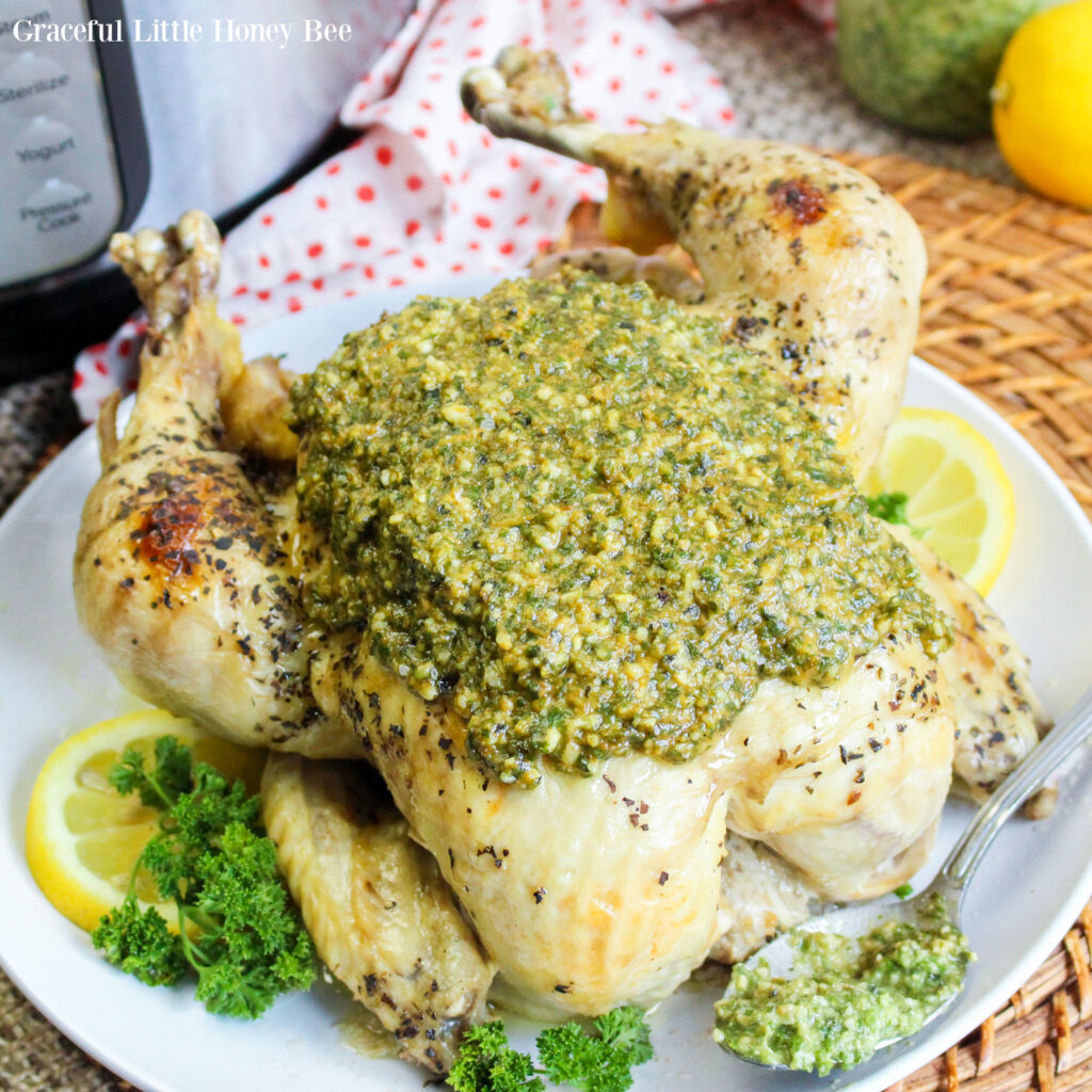 A whole cooked chicken slathered with pesto sitting on a white plate.