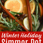 A close up of the Christmas Simmer Pot filled with citrus slices, rosemary and cinnamon sticks.