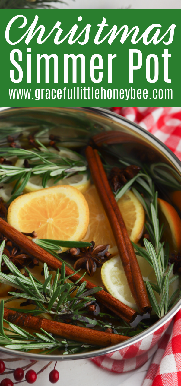 Christmas Simmer Pot