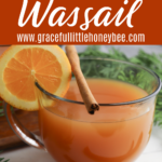 Wassail in a clear glass cup, garnished with a cinnamon stick and an orange slice.