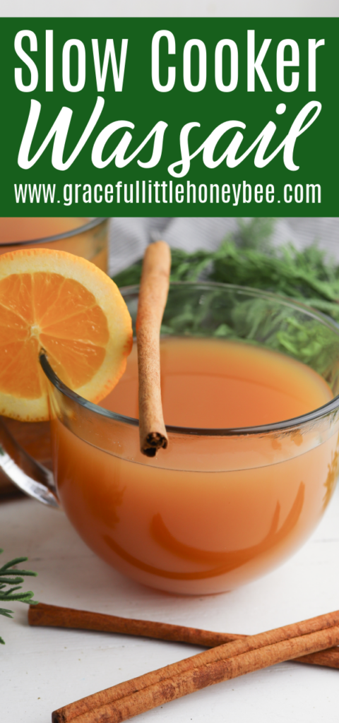 Wassail in a clear glass cup, garnished with a cinnamon stick and an orange slice.