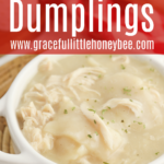 Chicken and Dumplings in a white bowl.