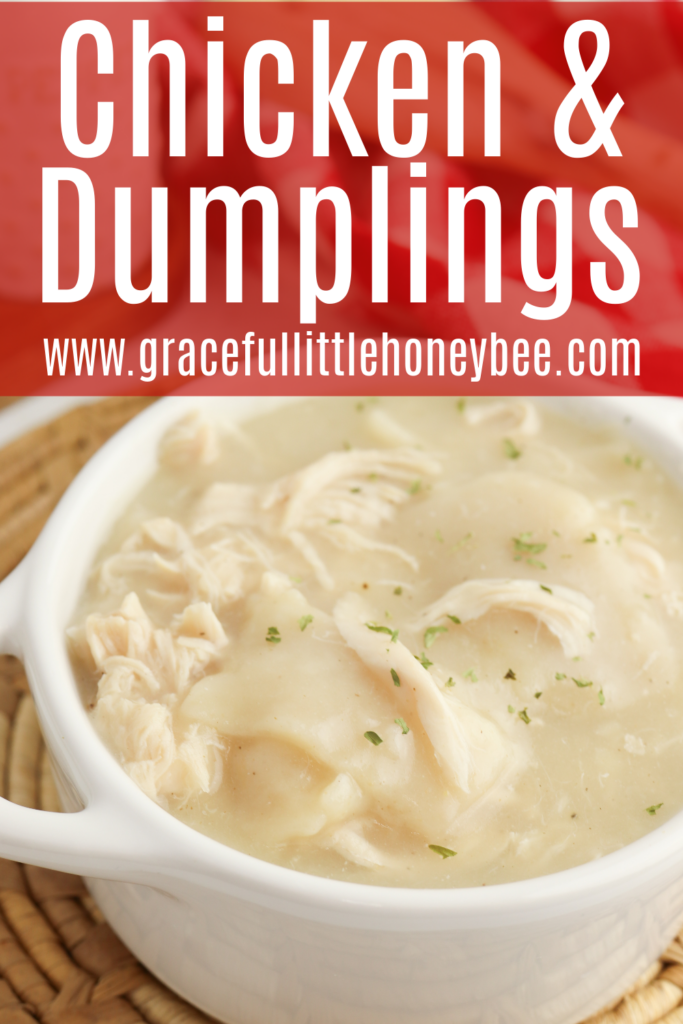 Chicken and Dumplings in a white bowl.