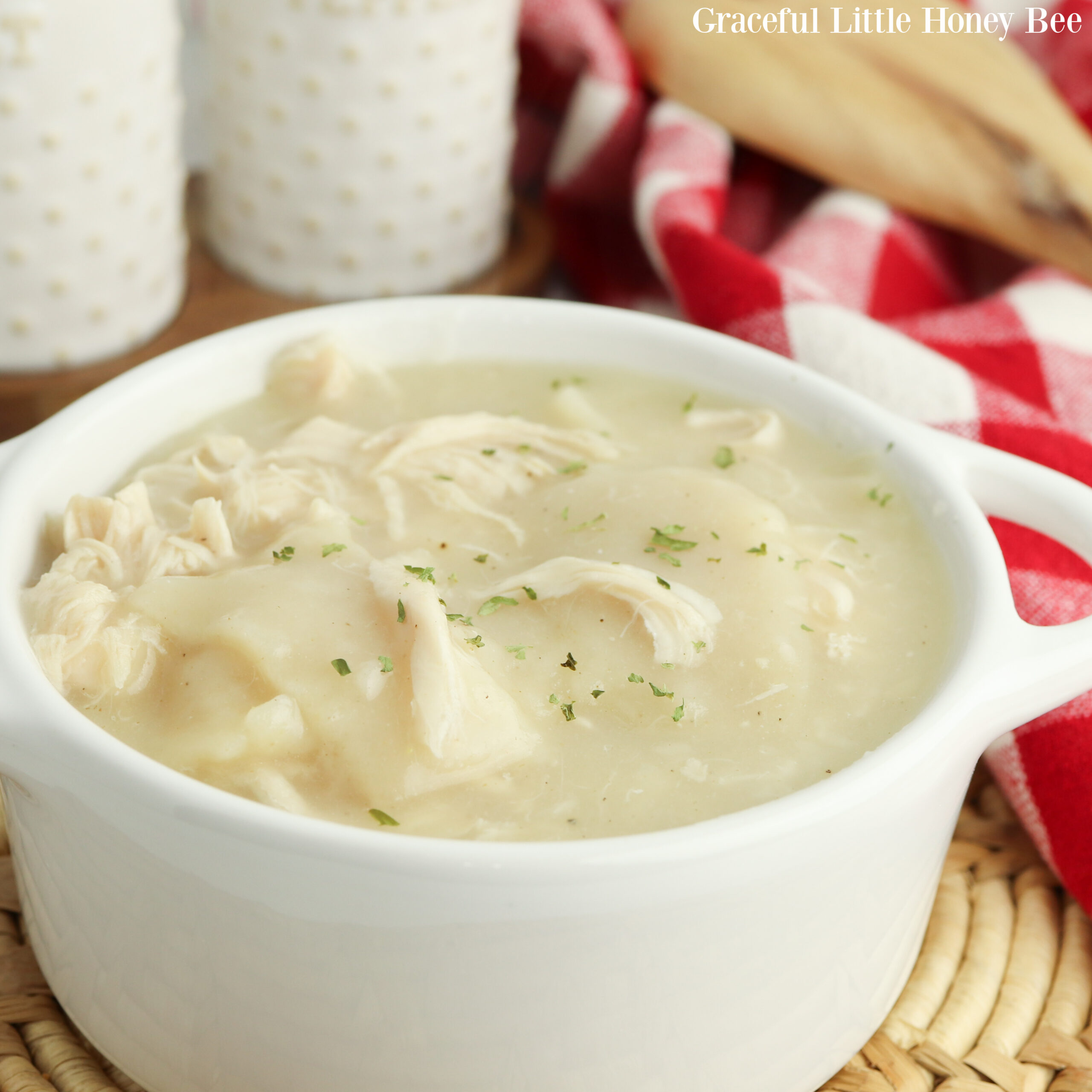 Chicken and Dumplings in a white bowl.