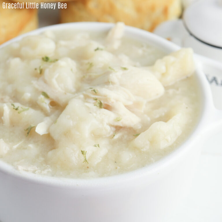 Slow Cooker Chicken and Dumplings