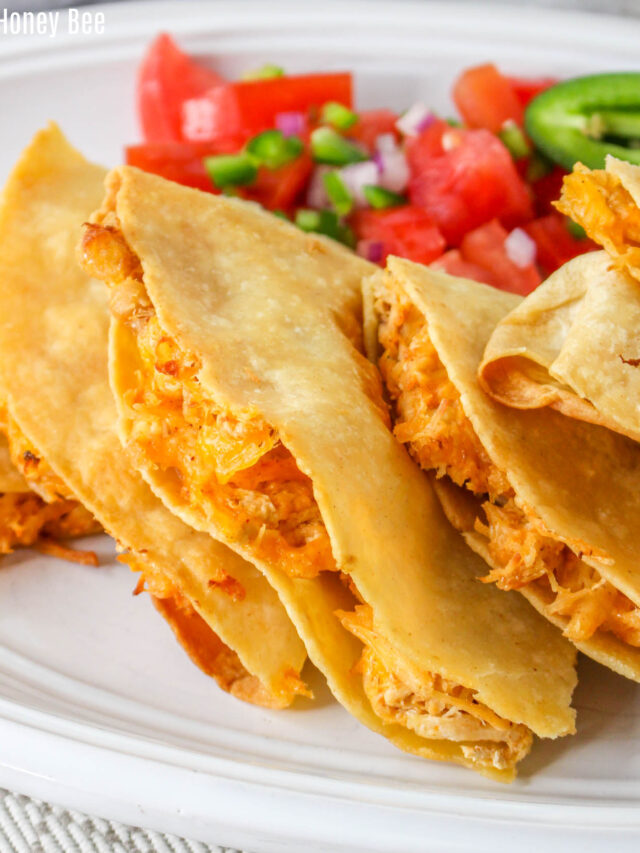 Close up of a crispy, buttery chicken quesadilla sitting on a white plate garnished with jalapenos and fresh salsa.
