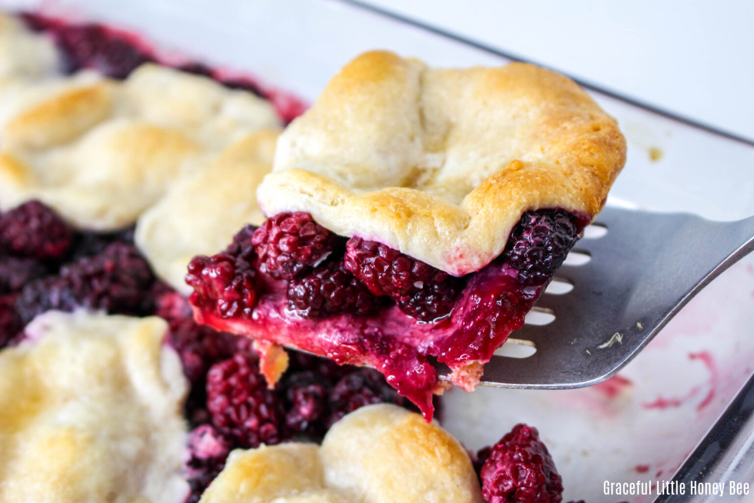 Blackberry Cobbler with Canned Biscuits Graceful Little Honey Bee