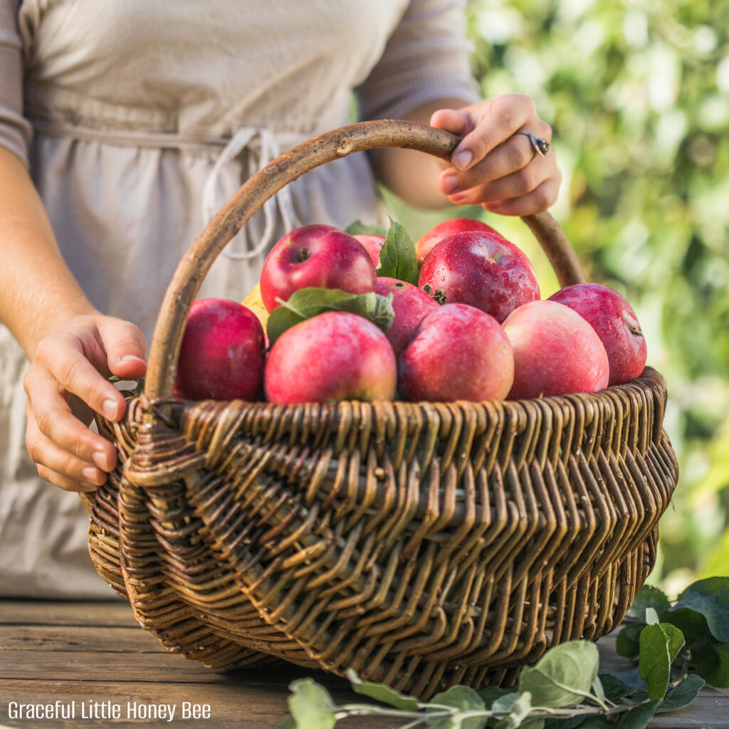 A woman in an apron holding a basket full of apples.