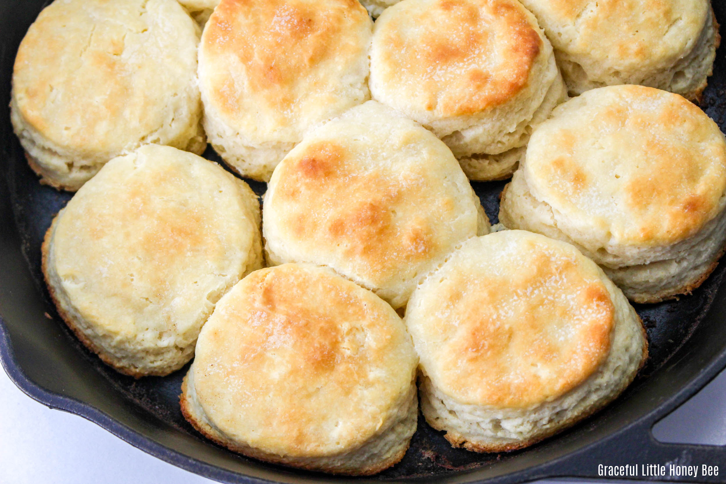 Golden brown biscuits in a cast iron pan.