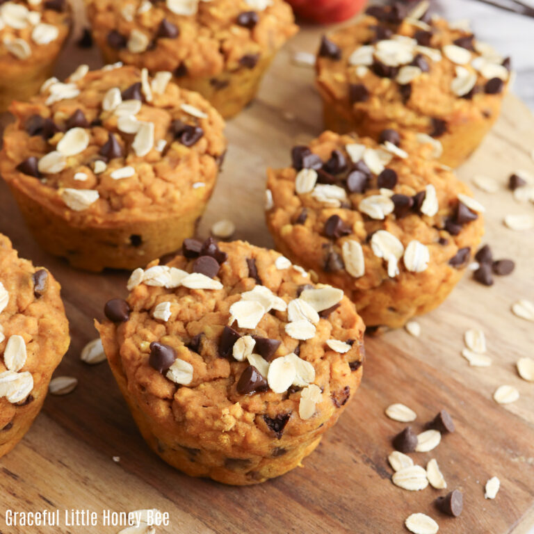 Pumpkin Oat Chocolate Chip Muffins