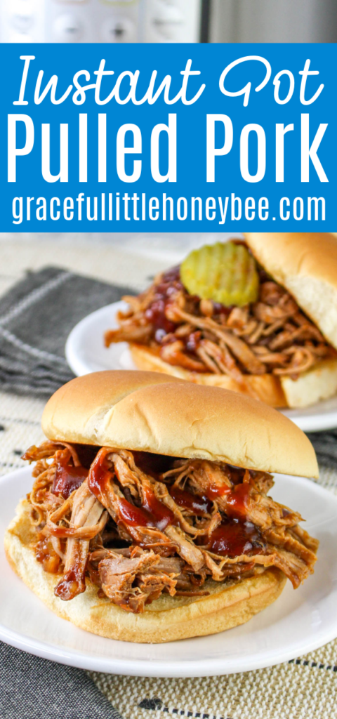 Close up view of a pulled pork bbq sandwich.