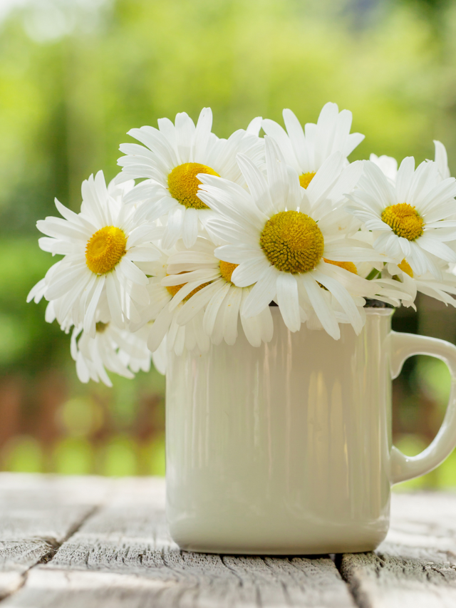 30 Ideas for an Old-Fashioned Summer