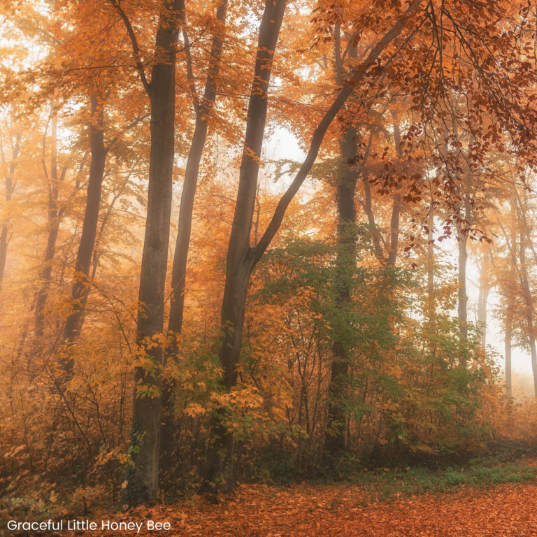 20 Ideas For an Old-Fashioned Fall