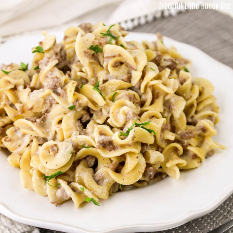 Close up view of ground beef and noodles sitting on a white plate.