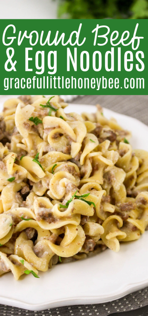 Close up view of ground beef and noodles sitting on a white plate.