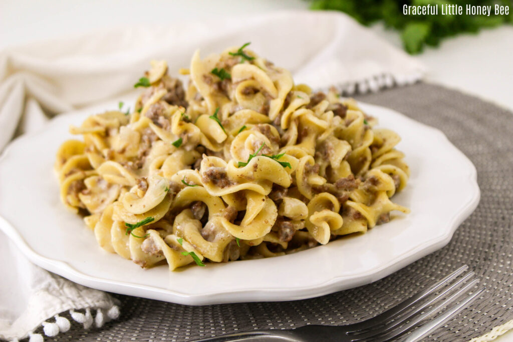 Close up view of ground beef and noodles sitting on a white plate.