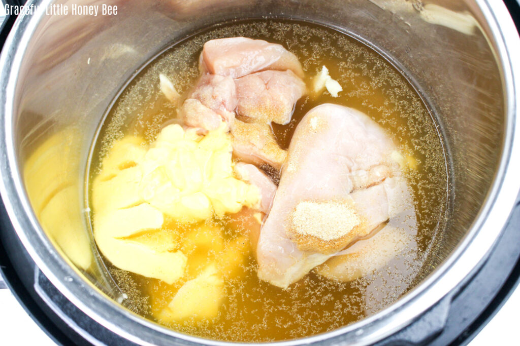 Chicken in broth.