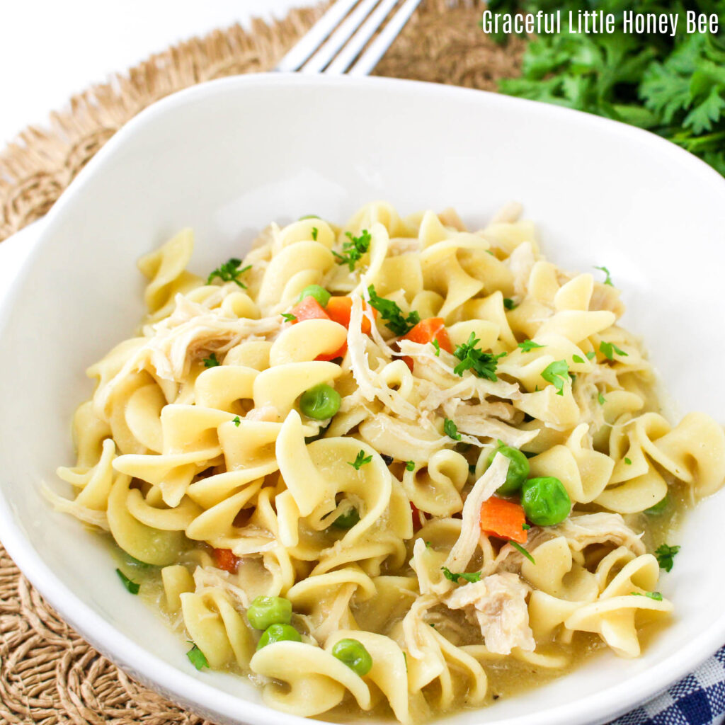 Bowl full of Instant Pot Chicken and Noodles.