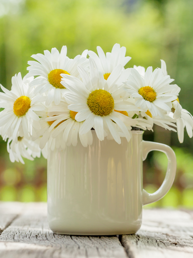 20 Ideas for a Slow & Simple Old-Fashioned Spring