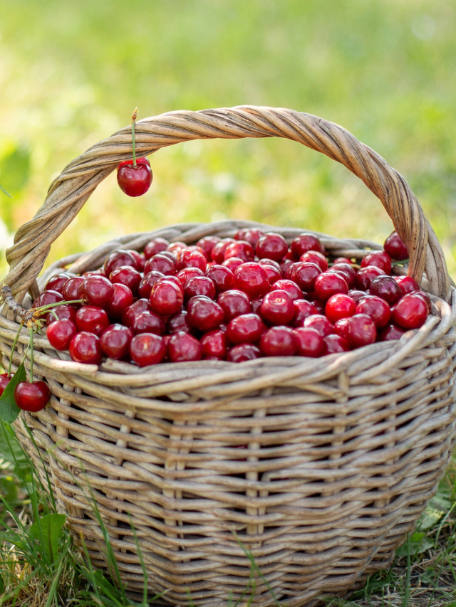 5 Benefits of Working Hard to Grow Your Own Food