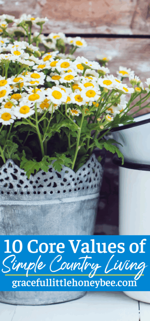 Daisies in galvanized bucket next to two white enamel mugs.