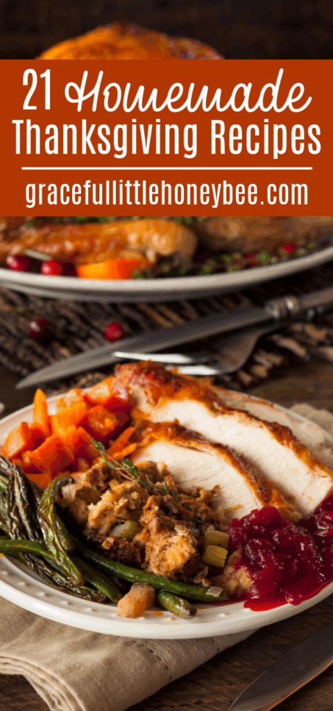 Dish with sliced turkey, cranberry sauce, beans, stuffing and sweet potatoes. 